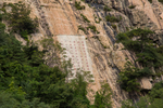 泰山
