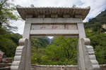 泰山