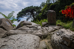 泰山