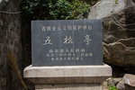 泰山