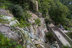 泰山