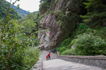 泰山