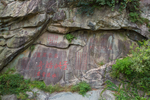 泰山