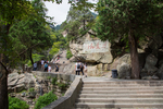 泰山