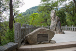 泰山