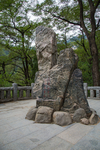 泰山
