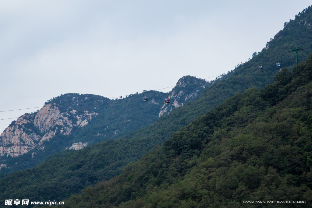 泰山