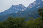 泰山