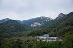 泰山