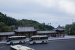 泰山