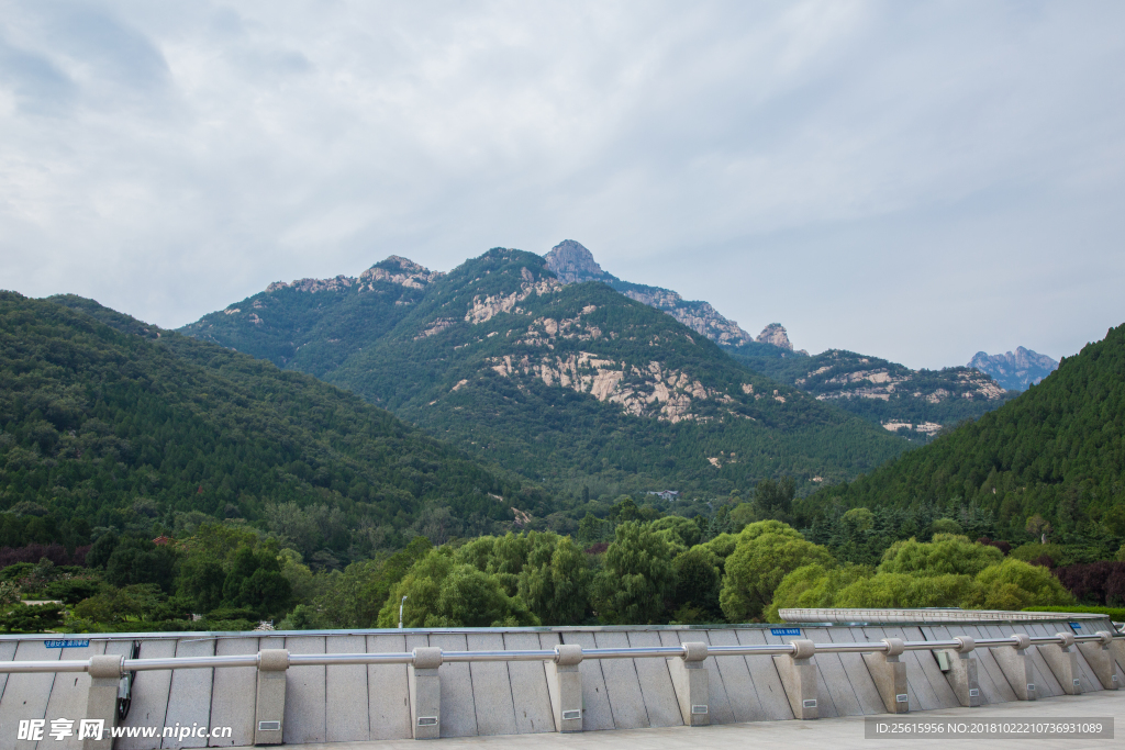 泰山
