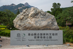 泰山