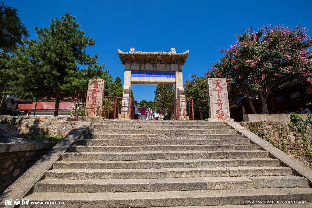 泰山