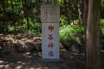 泰山