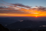 泰山
