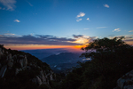 泰山