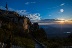 泰山