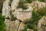 泰山