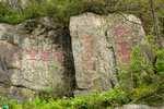 泰山