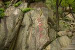 泰山