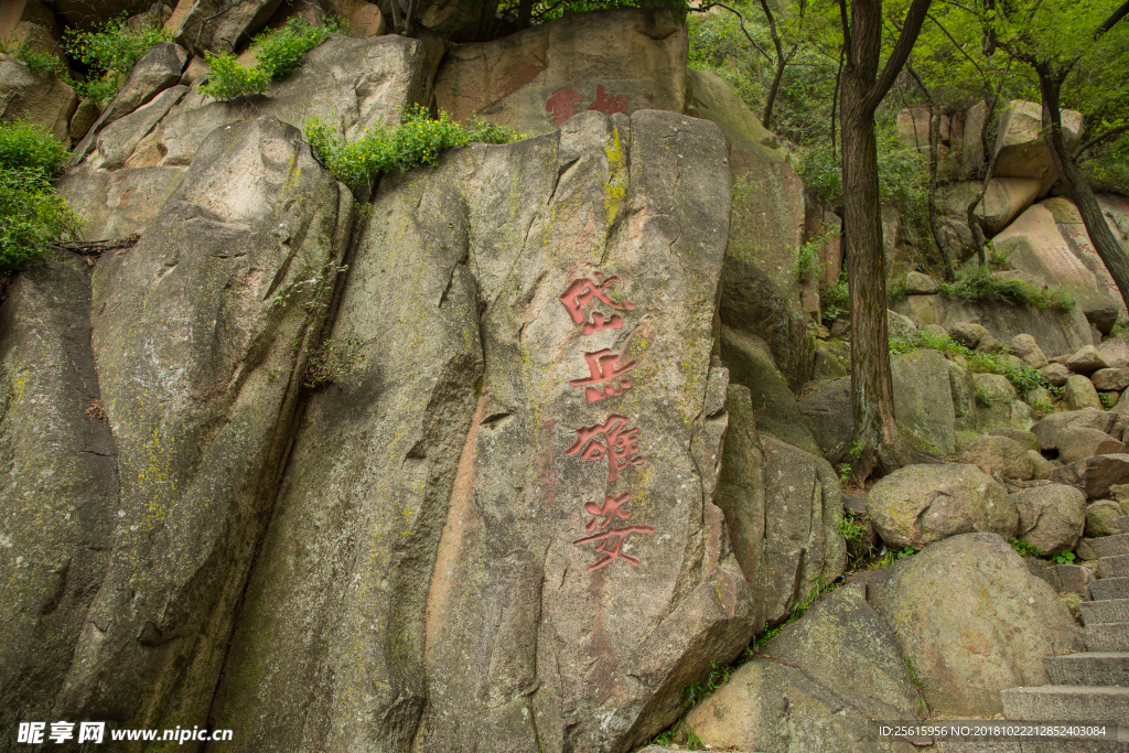 泰山