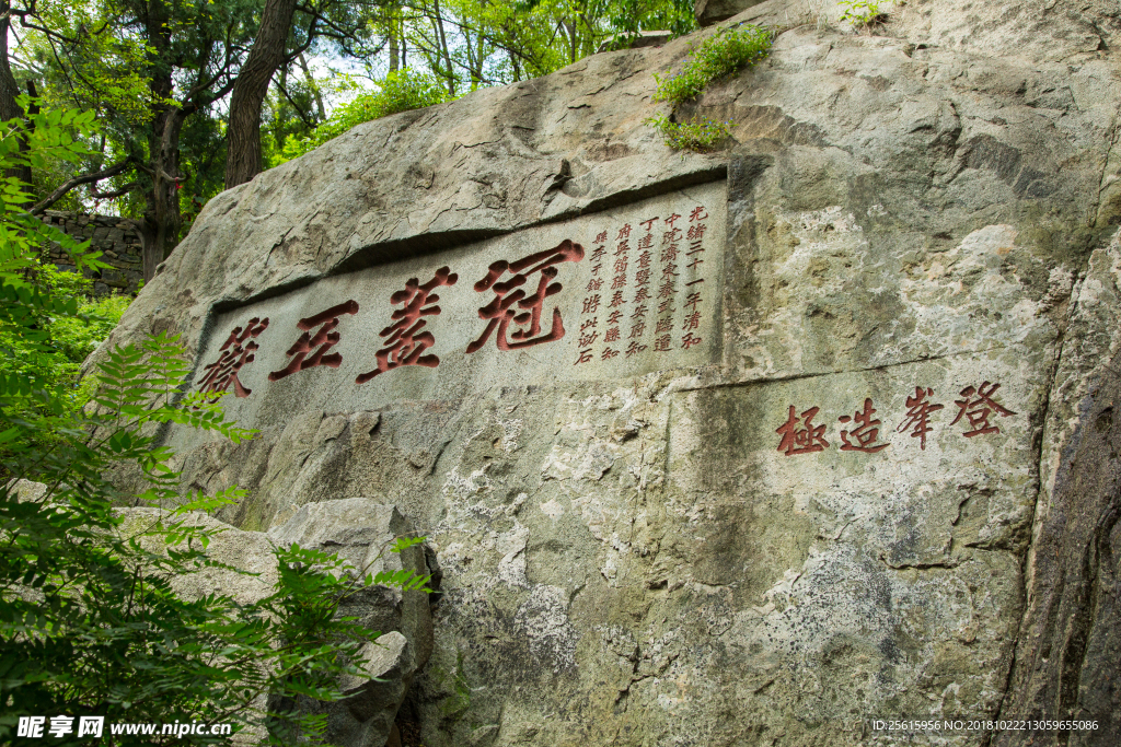 泰山