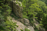 泰山