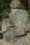 泰山