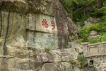 泰山