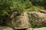 泰山