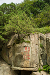 泰山