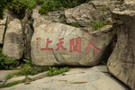 泰山
