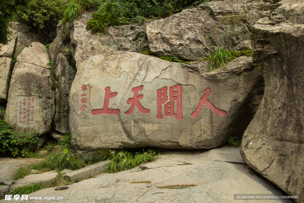 泰山