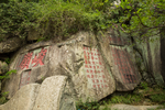 泰山