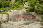 泰山