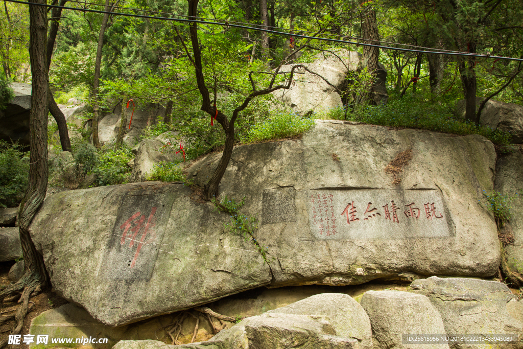 泰山