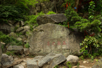泰山