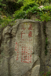 泰山