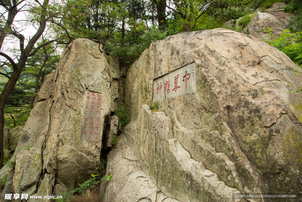 泰山