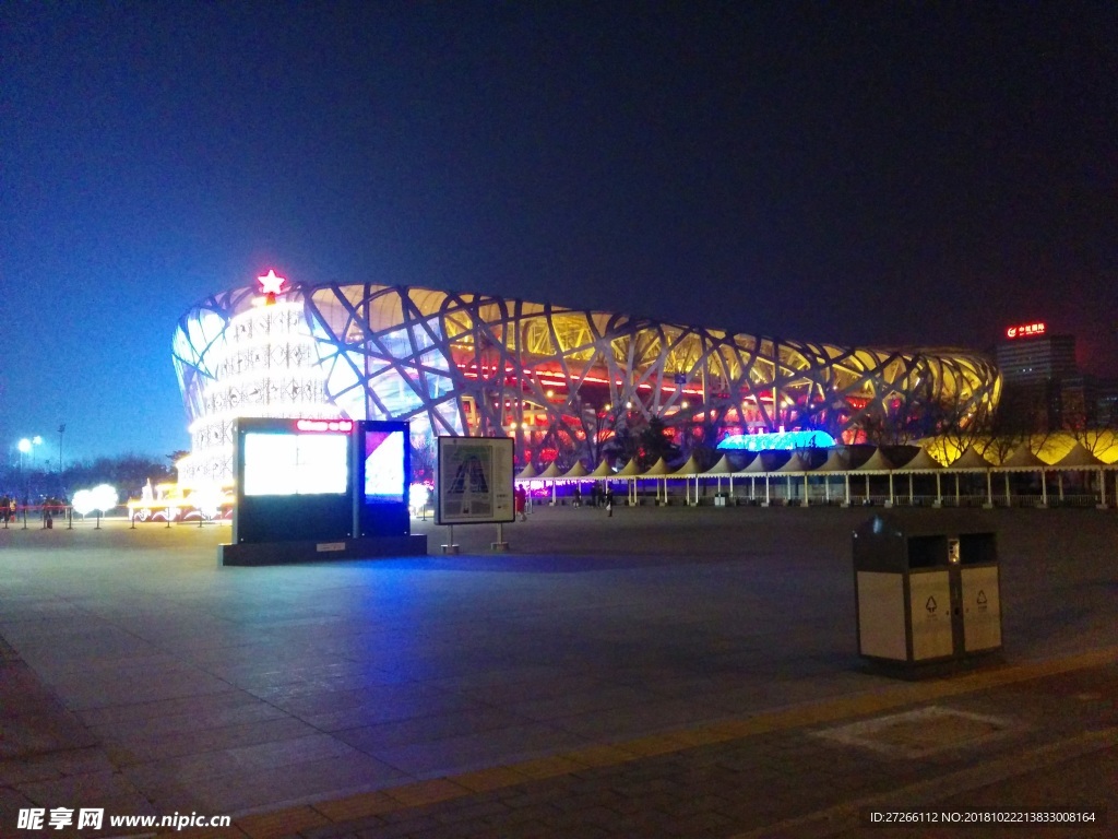 夜晚鸟巢