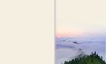 茶山