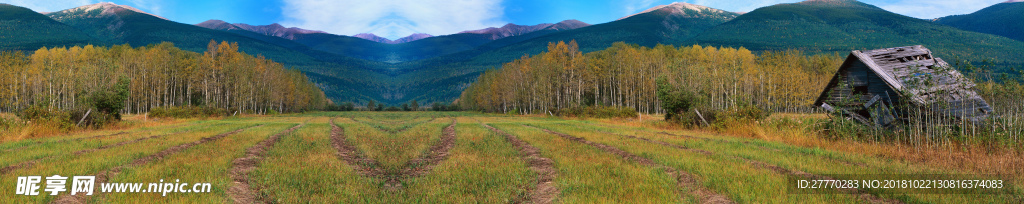 绿林远山风景