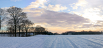 雪地风景