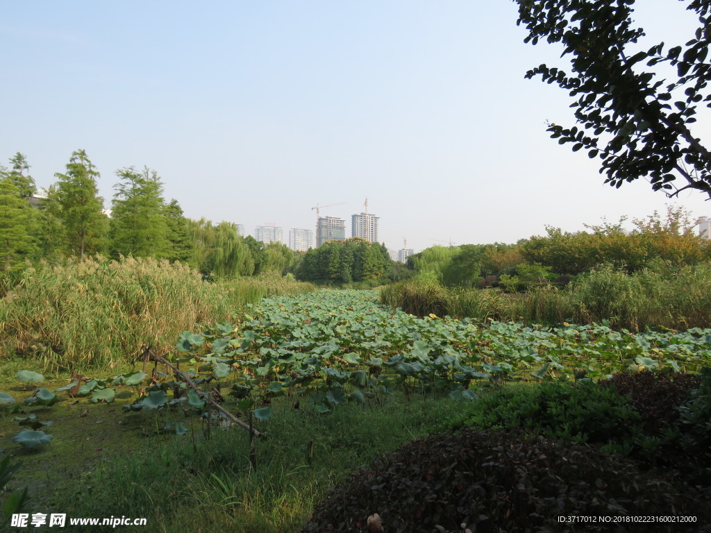 无锡风景