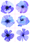 004精美紫色手绘鲜花