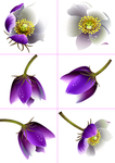025精美紫色花儿素材