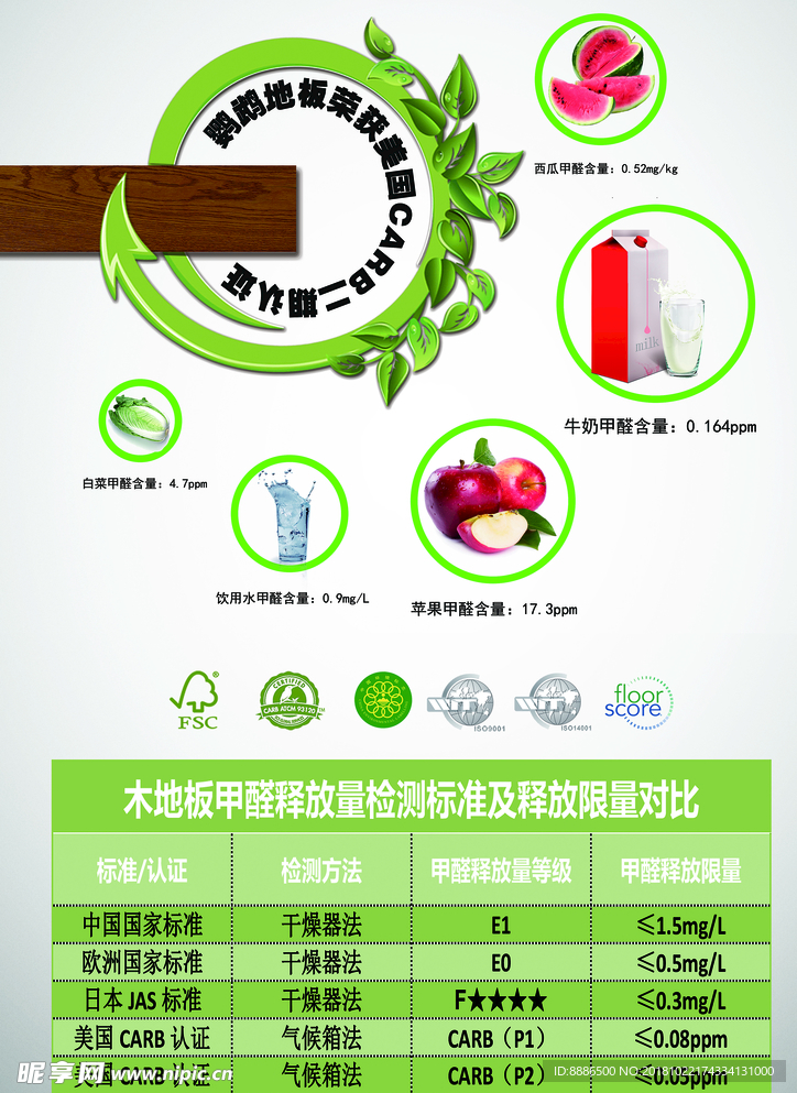 鹦鹉