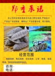 海参彩页