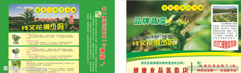 蔬菜宣传单