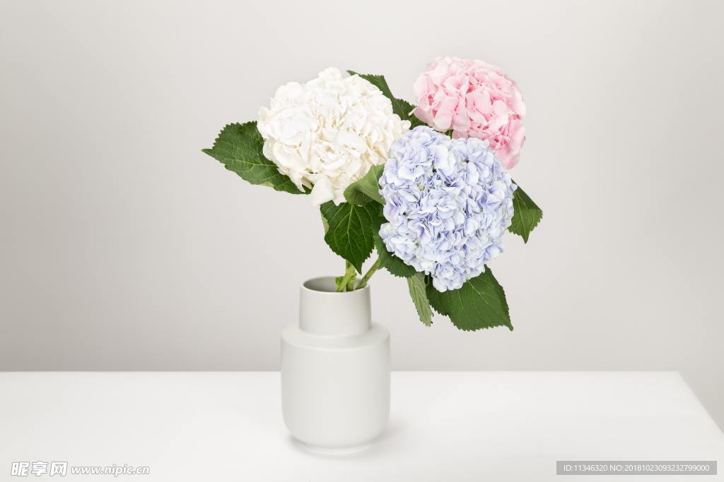 鲜花